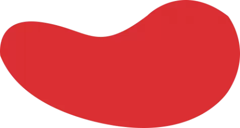 K1体育 - 官方赛事平台 | 即时比分、直播、数据、资讯