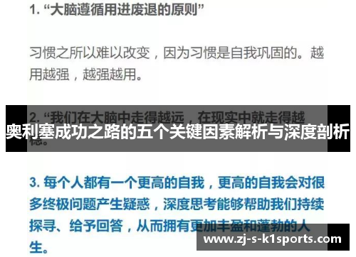 奥利塞成功之路的五个关键因素解析与深度剖析