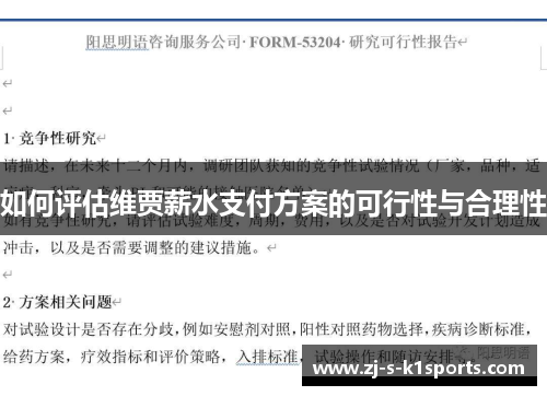 如何评估维贾薪水支付方案的可行性与合理性 如何评估维贾薪水支付方案的可行性与合理性